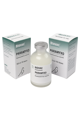 Nobilis Paramyxo Vaccine 80d (Expiry Date: 02/26 -  Batch No. I800A02